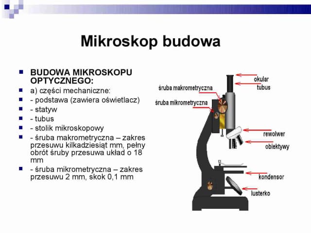 Do czego służy stolik w mikroskopie? Odkryj jego kluczowe funkcje Do czego służy stolik w mikroskopie? Odkryj jego kluczowe funkcje