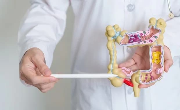 Do czego służy wyrostek robaczkowy i dlaczego jego funkcje są ważne? Do czego służy wyrostek robaczkowy i dlaczego jego funkcje są ważne?
