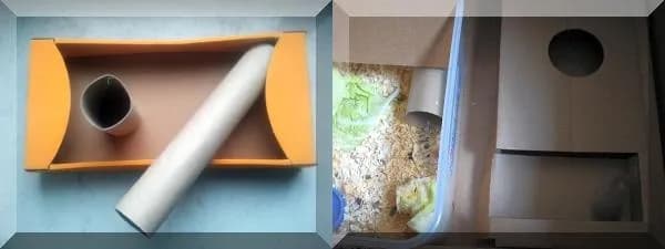 Twórz bezpieczny plac zabaw dla chomika DIY z łatwych materiałów Twórz bezpieczny plac zabaw dla chomika DIY z łatwych materiałów